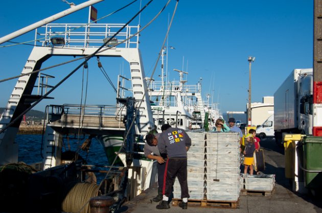 Descarga de pescado en la lonja del puerto de Muros