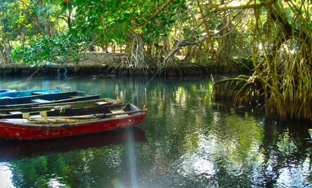 Destino turístico: República Dominicana. Un pais con un patrimonio cultural y natural envidiable         