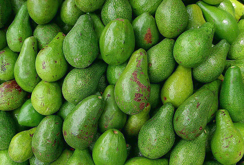 El aguacate, un fruto con muchas propiedades