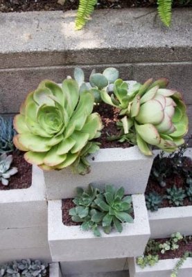 Jardineras con bloques de hormigón. Cómo reutilizar los bloques de hormigón para hacer unas jardineras   