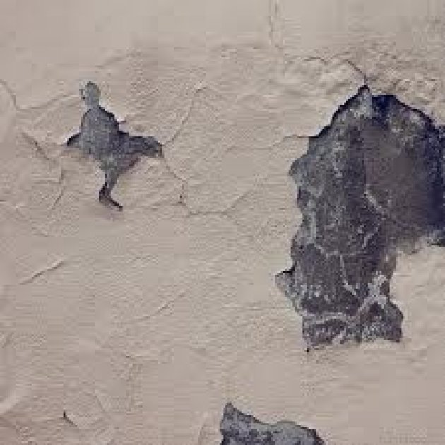 Distintos defectos de la pintura: desconchones, burbujas, etc… Cómo solucionarlos 