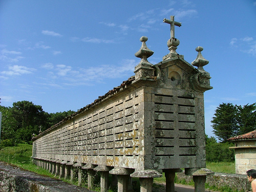 El hórreo asturiano y el hórreo gallego, construcciones anexas a las tradicionales casas del norte de la península ibérica  