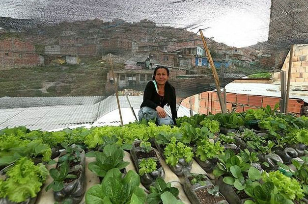 huerto en el tejado