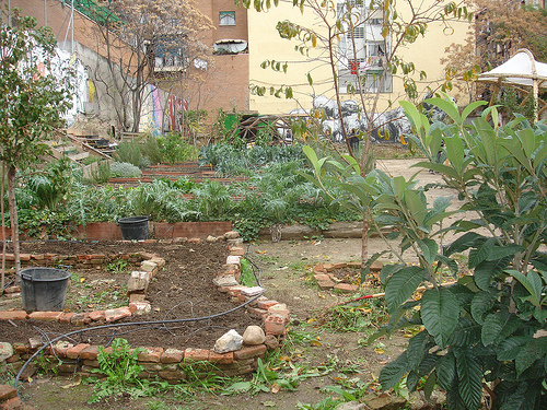 Qué caracteriza a los huertos urbanos dentro de la ciudad 