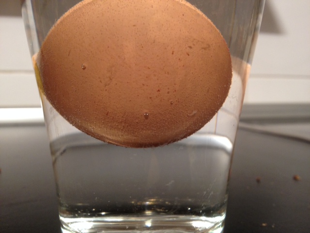 La cáscara de los huevos tiene pequeños poros al igual que la piel de las personas    