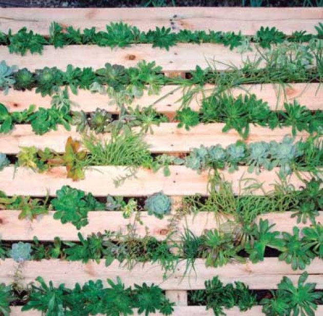 Cómo aprovechar los palets de madera  para hacer jardineras verticales