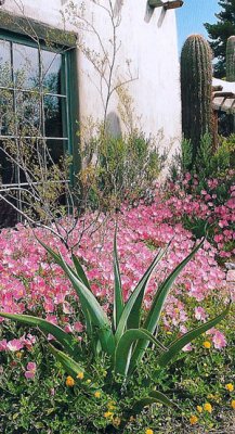 Jardinería sostenible