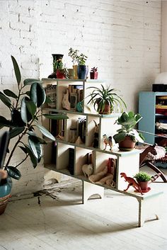 Decoración con plantas de interior