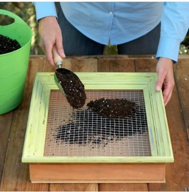 Cómo hacer un original cuadro vegetal con plantas. Un jardín vertical vegetal de pequeña escala hecho por ti mismo 