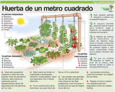 una pequeña huerta de un metro cuadrado